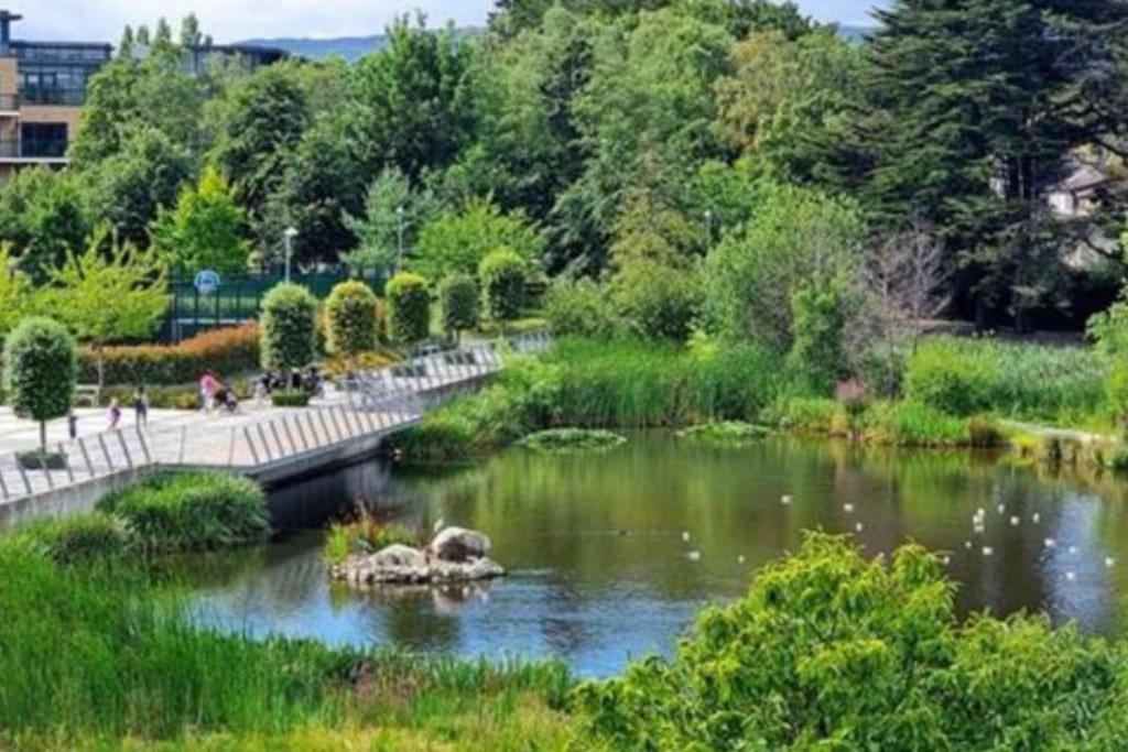City Beach Gem 5 Adult Spaces Plus Child Dublin Extérieur photo